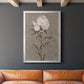 Pretty As A Peony II - Modern Framed Canvas Print