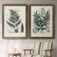 Set of two walnut barnwood framed canvas prints depicting two natural-history fern plates featuring vintage fern specimens with botanical details above a sideboard in a cozy sitting room.