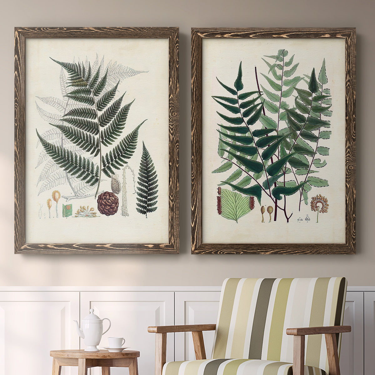 Set of two walnut barnwood framed canvas prints depicting two natural-history fern plates featuring vintage fern specimens with botanical details above a sideboard in a cozy sitting room.