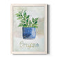 Potted Oregano - Barnwood Framed Canvas Print