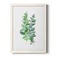 Eucalyptus II - Barnwood Framed Canvas Print