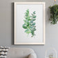 Eucalyptus II - Barnwood Framed Canvas Print