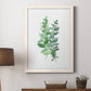 Eucalyptus II - Barnwood Framed Canvas Print