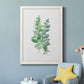 Eucalyptus II - Barnwood Framed Canvas Print