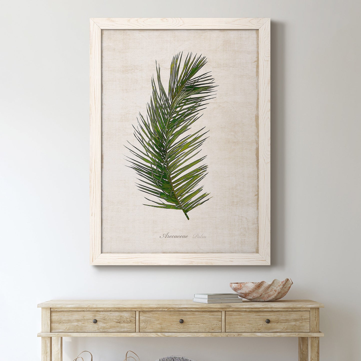 Palm Botanical II - Barnwood Framed Canvas Print