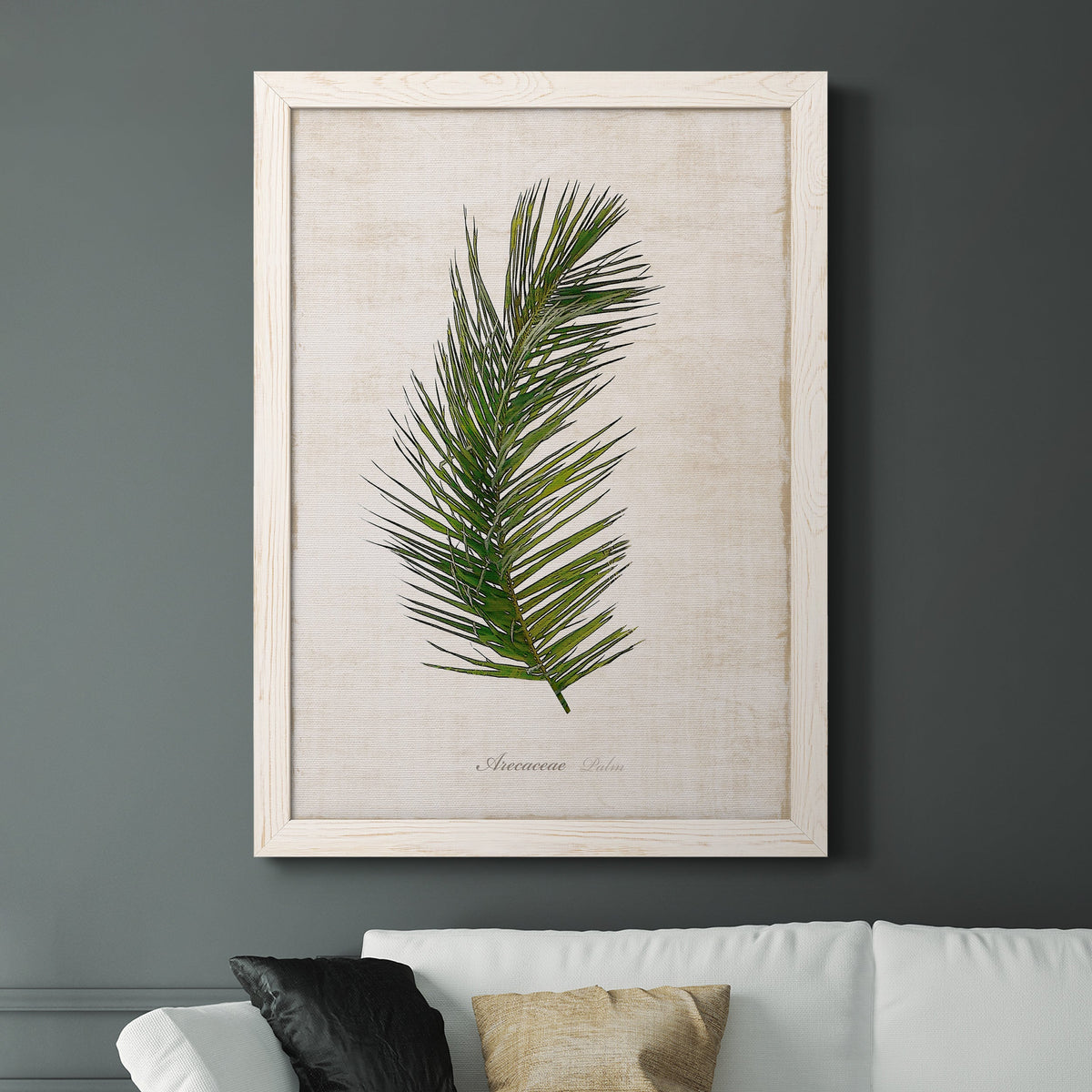 Palm Botanical II - Barnwood Framed Canvas Print