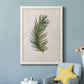 Palm Botanical II - Barnwood Framed Canvas Print