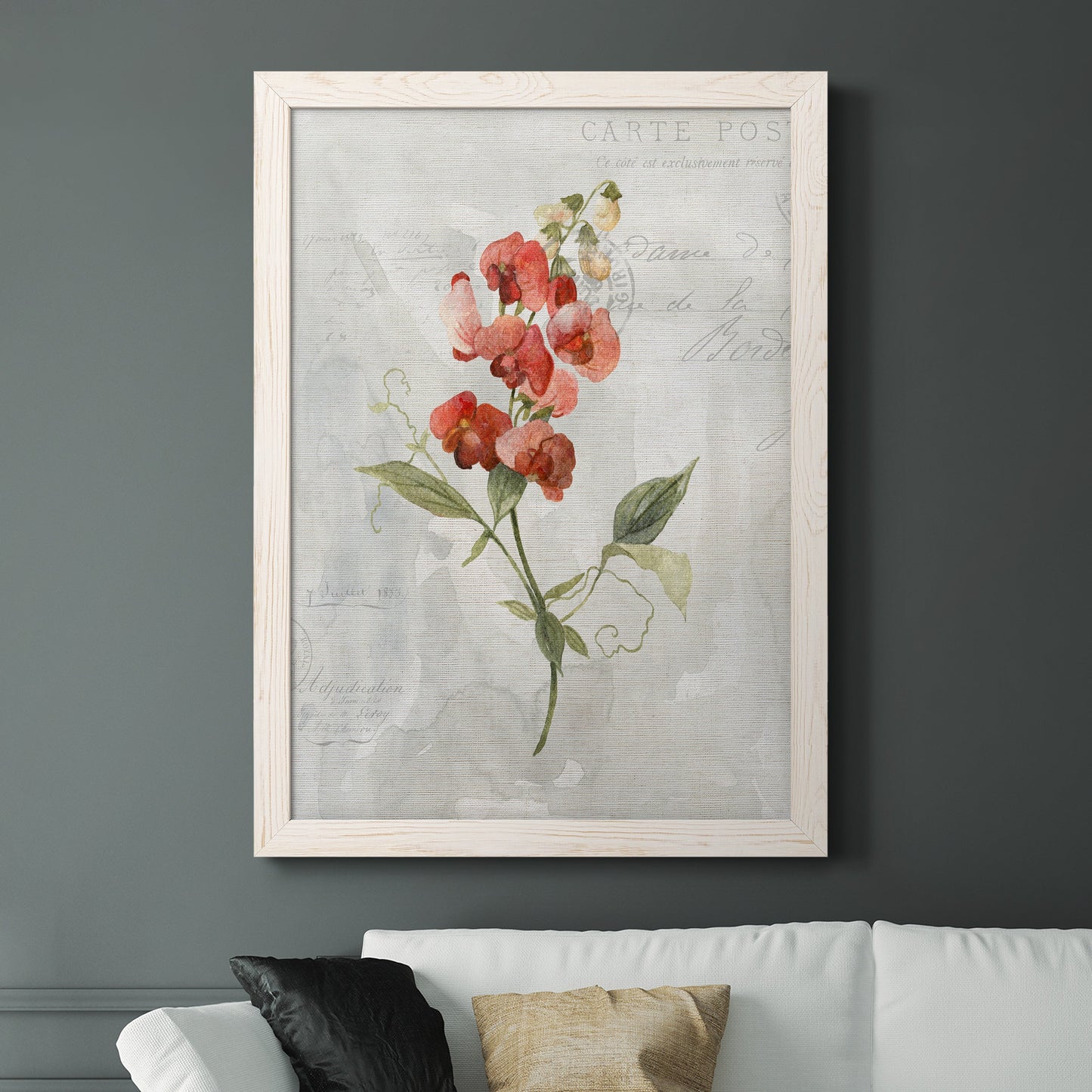 Linen Sweet Pea - Barnwood Framed Canvas Print