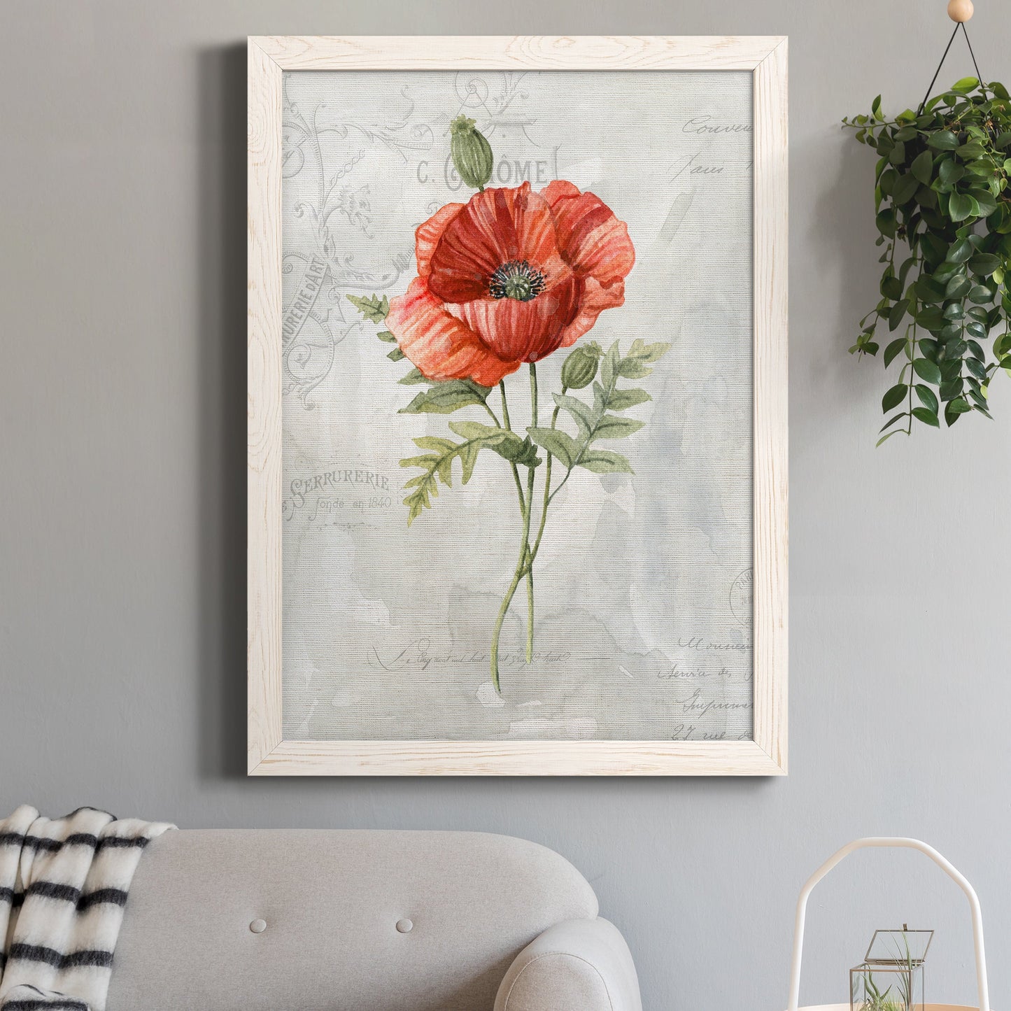 Linen Poppy - Barnwood Framed Canvas Print