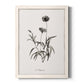 Sketchbook Imperial - Barnwood Framed Canvas Print
