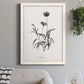 Sketchbook Imperial - Barnwood Framed Canvas Print