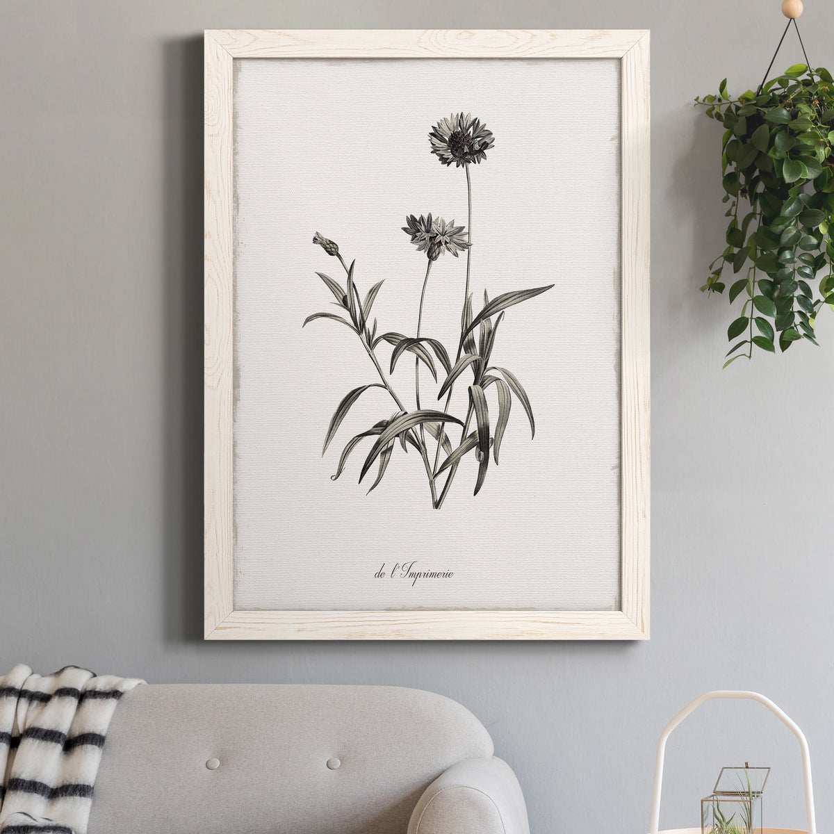 Sketchbook Imperial - Barnwood Framed Canvas Print