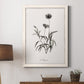Sketchbook Imperial - Barnwood Framed Canvas Print