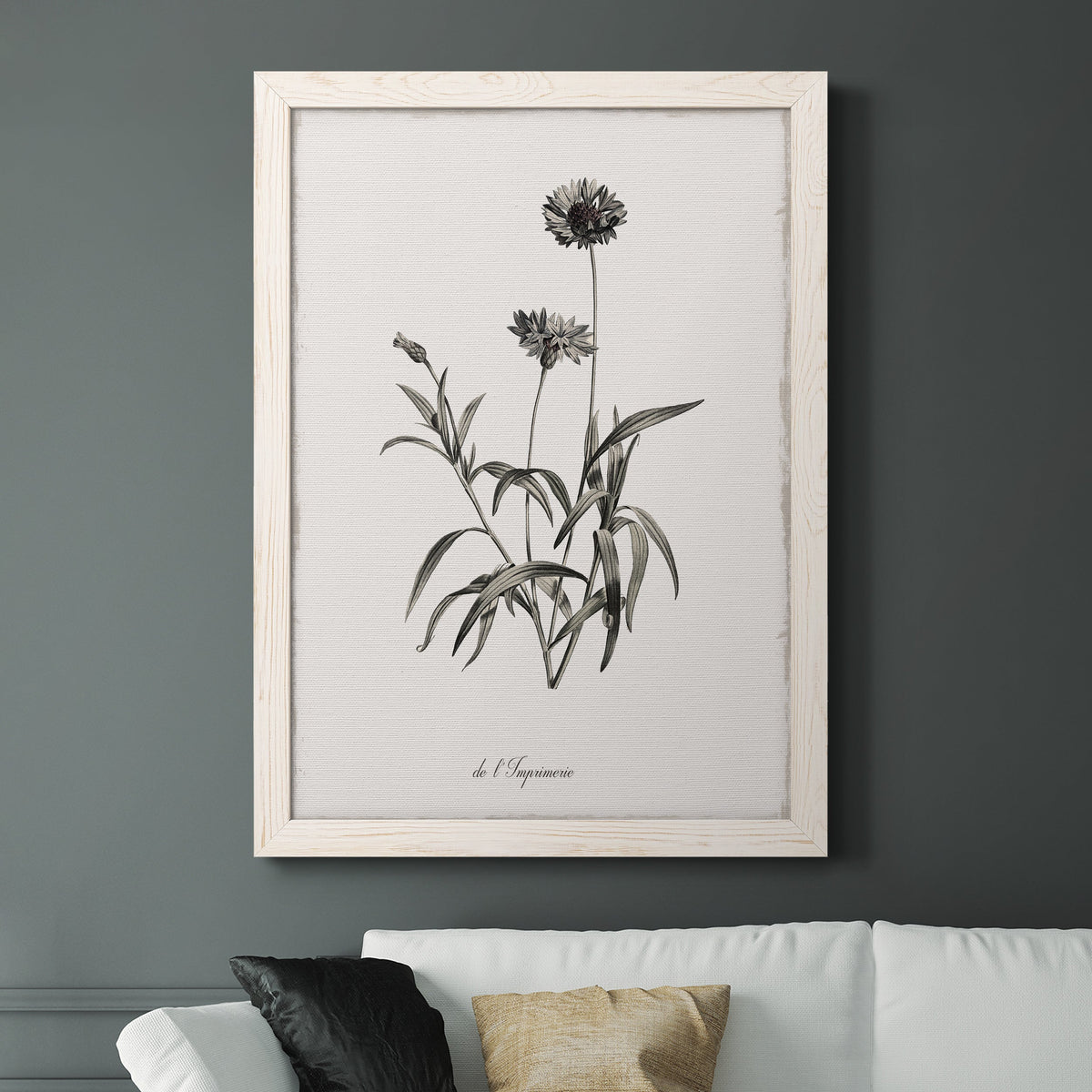 Sketchbook Imperial - Barnwood Framed Canvas Print