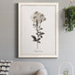 Sketchbook Leadwort - Barnwood Framed Canvas Print