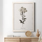 Sketchbook Leadwort - Barnwood Framed Canvas Print