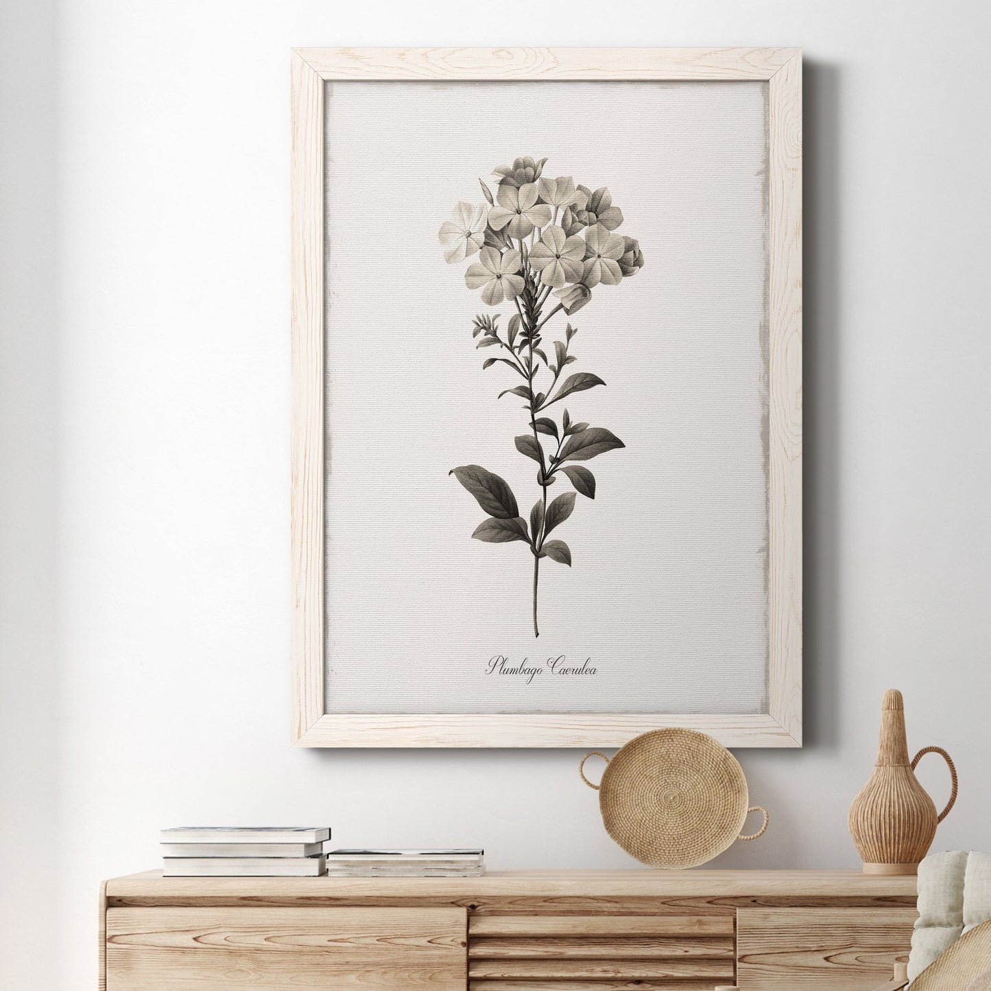 Sketchbook Leadwort - Barnwood Framed Canvas Print