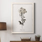 Sketchbook Leadwort - Barnwood Framed Canvas Print