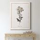 Sketchbook Leadwort - Barnwood Framed Canvas Print