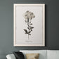 Sketchbook Leadwort - Barnwood Framed Canvas Print