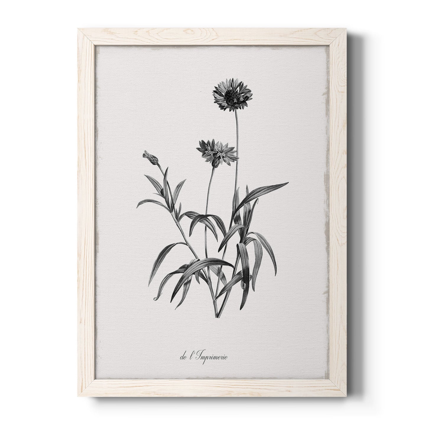 Simply Imperial - Barnwood Framed Canvas Print