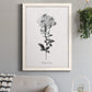 Simply Cape Leadwort - Barnwood Framed Canvas Print