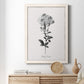 Simply Cape Leadwort - Barnwood Framed Canvas Print