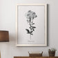 Simply Cape Leadwort - Barnwood Framed Canvas Print