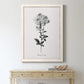 Simply Cape Leadwort - Barnwood Framed Canvas Print