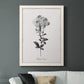 Simply Cape Leadwort - Barnwood Framed Canvas Print