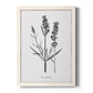 Simply Lavender - Barnwood Framed Canvas Print