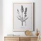 Simply Lavender - Barnwood Framed Canvas Print