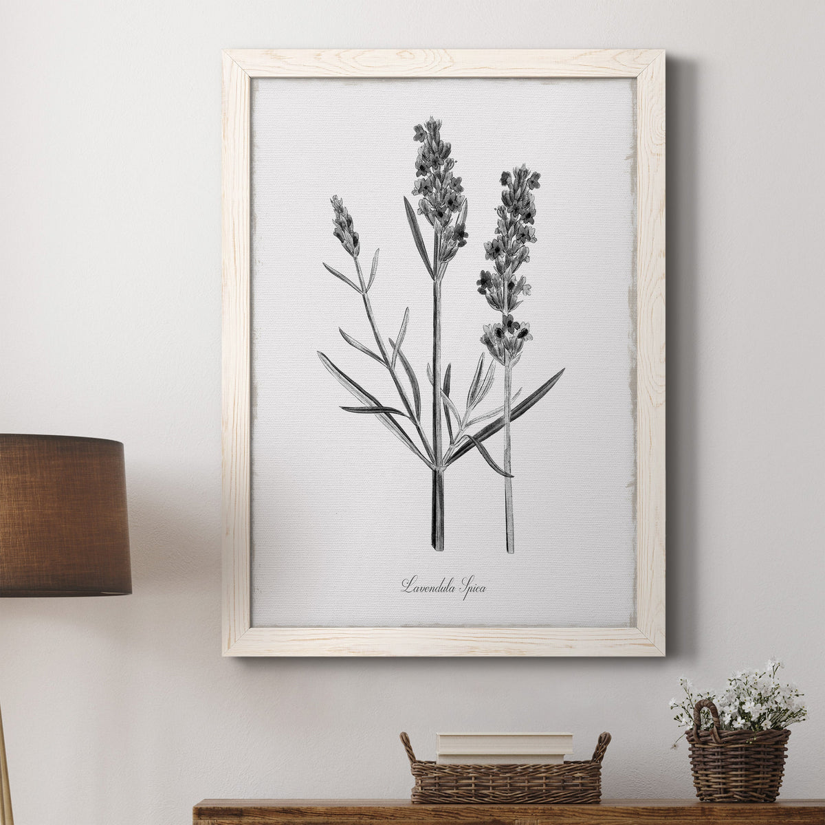 Simply Lavender - Barnwood Framed Canvas Print