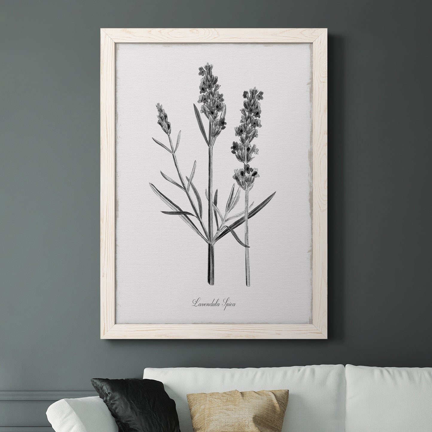 Simply Lavender - Barnwood Framed Canvas Print