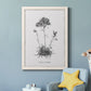Simply Caladrinia - Barnwood Framed Canvas Print