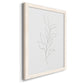 Botanical Gesture VI - Barnwood Framed Canvas Print