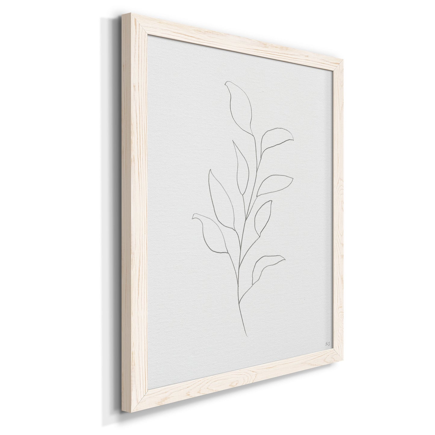 Botanical Gesture VI - Barnwood Framed Canvas Print