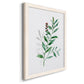 Freshly Picked III - Barnwood Framed Canvas Print