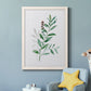 Freshly Picked III - Barnwood Framed Canvas Print