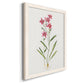 Delicate Pink II - Barnwood Framed Canvas Print