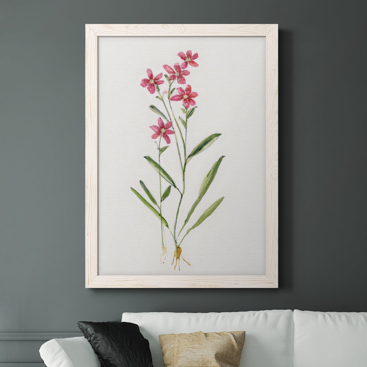 Delicate Pink II - Barnwood Framed Canvas Print