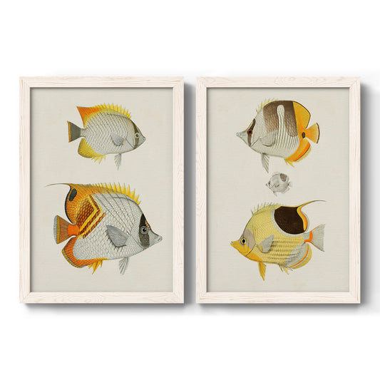 Yellow & Grey Fish I - Barnwood Framed Canvas Set