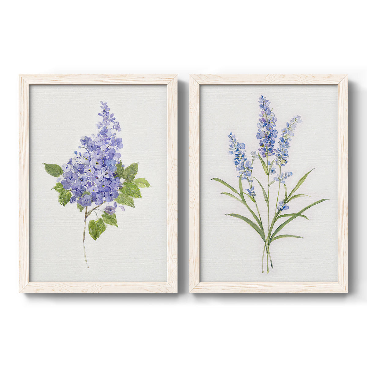 Set of two white barnwood framed canvas prints featuring two delicate watercolor botanical studies featuring purple lilac and blue wildflower stems.