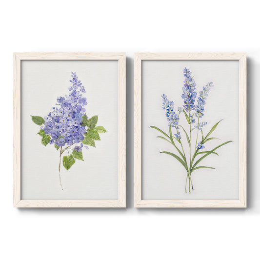 Set of two white barnwood framed canvas prints featuring two delicate watercolor botanical studies featuring purple lilac and blue wildflower stems.