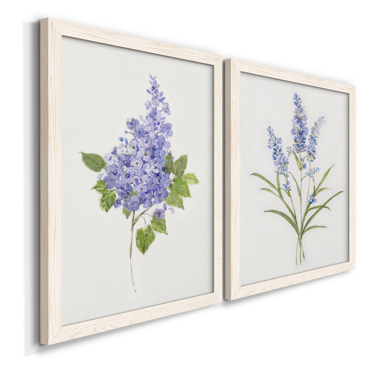 Angled view of a set of two white barnwood framed canvas prints featuring two delicate watercolor botanical studies featuring purple lilac and blue wildflower stems.
