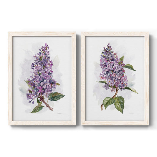 Set of two white barnwood framed canvas prints featuring two traditional watercolor flower studies featuring lush purple lilac clusters with green leaves.