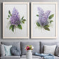 Set of two white barnwood framed canvas prints depicting paired romantic traditional floral paintings with layered lavender blossoms, broad foliage, and softly textured grounds above a sofa in a contemporary living room.