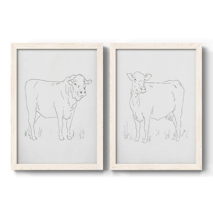 Set of two white barnwood framed canvas prints featuring two minimalist livestock sketches featuring simple contour drawings of standing cows.