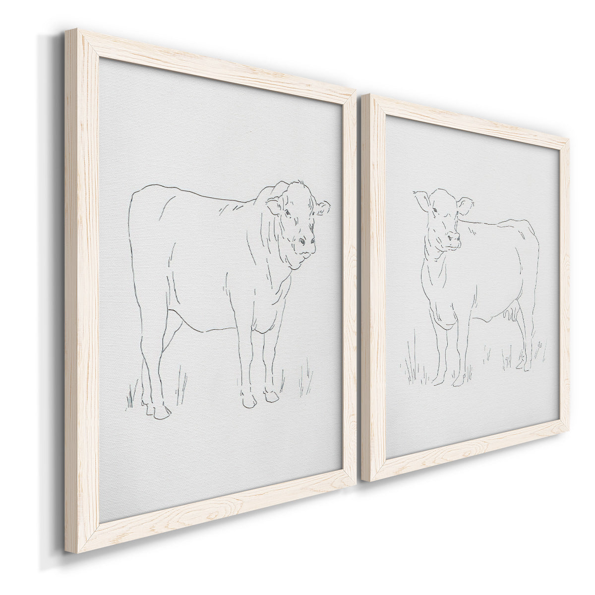 Angled view of a set of two white barnwood framed canvas prints featuring two minimalist livestock sketches featuring simple contour drawings of standing cows.