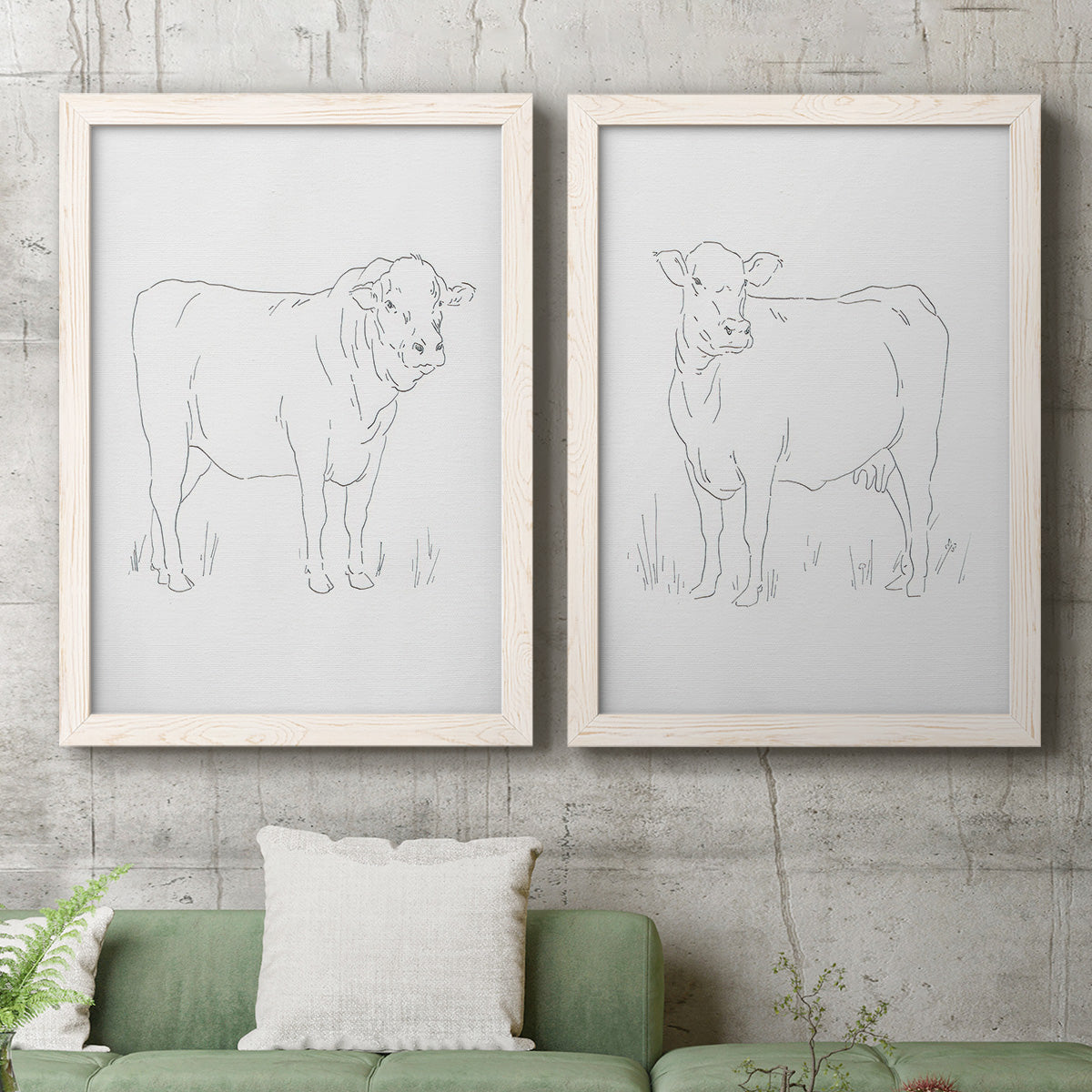 Set of two white barnwood framed canvas prints depicting a coordinated art pair of simple contour drawings of standing cows rendered as minimalist livestock sketches above a sofa in a modern living room.